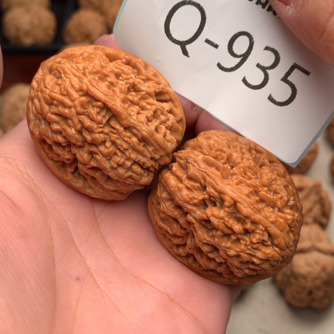 文玩核桃把件38蒜头………