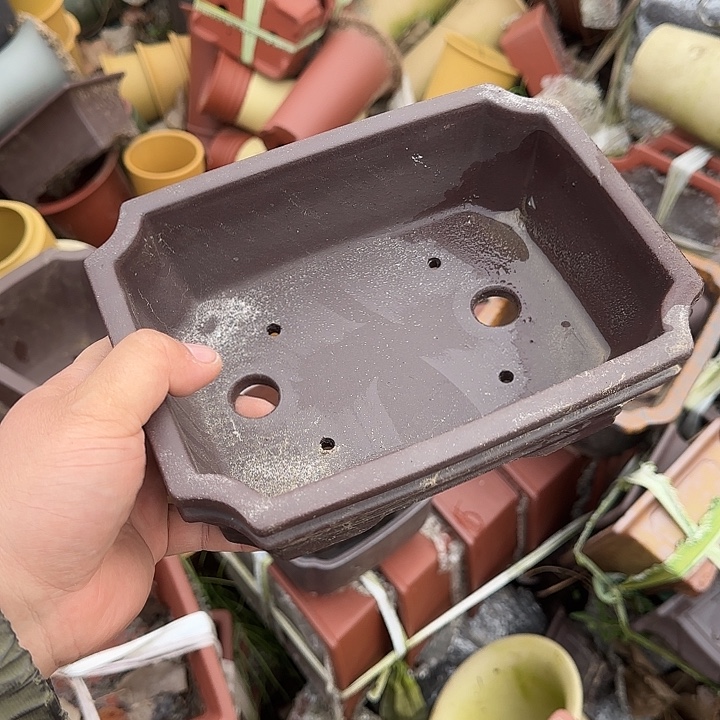 不说算什么呀亲爱的在那你干吧明天再说哇别