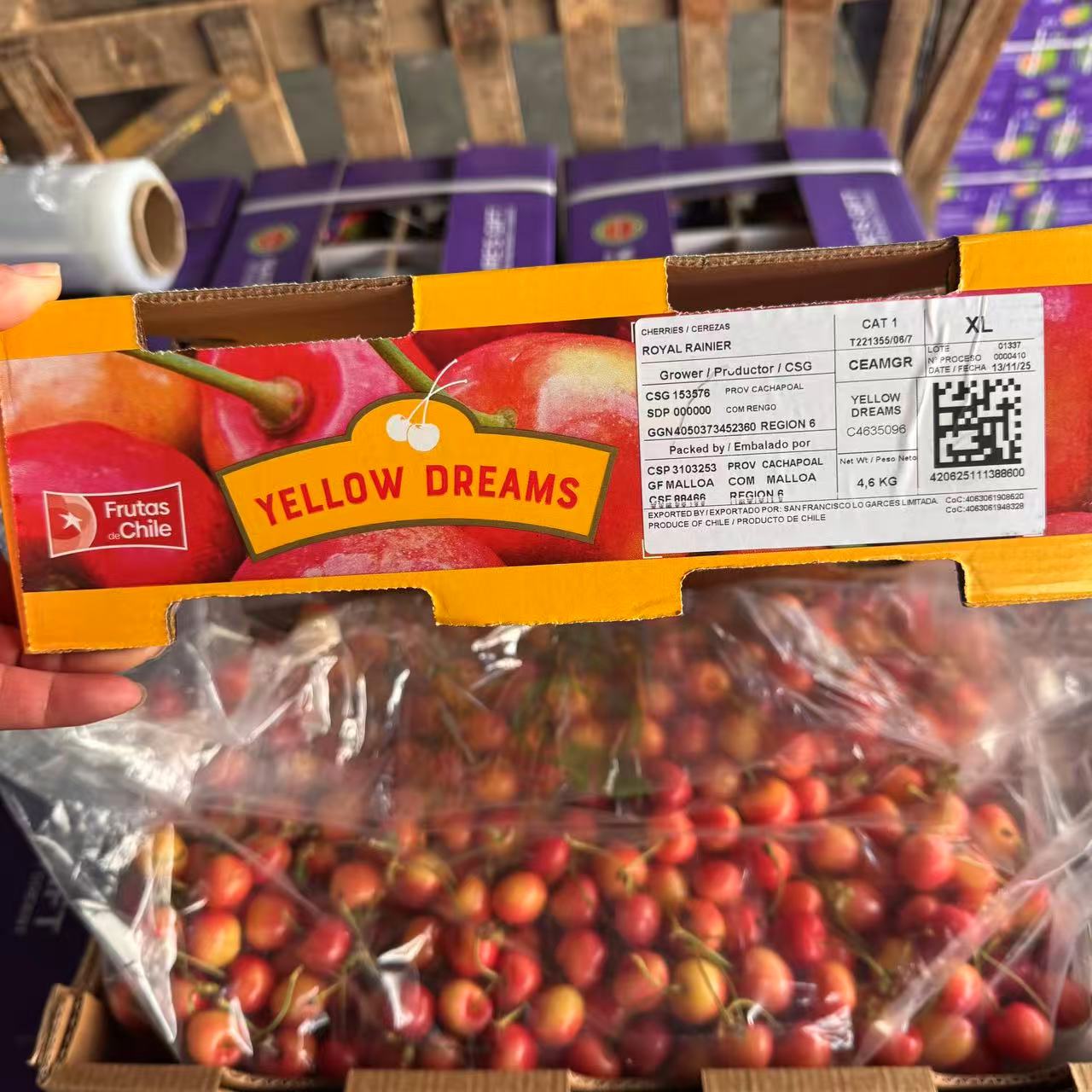 皇家雷尼尔智利空运车厘子进口新鲜水果净重4.8KG,XL礼盒装内附果径卡雷尼尔智利