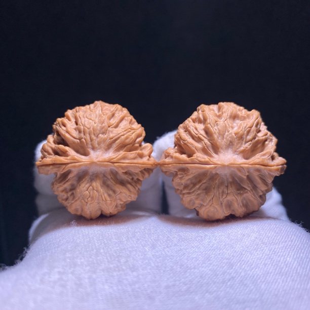 精品苹果园狮子头35-35-30文玩核桃 手把件