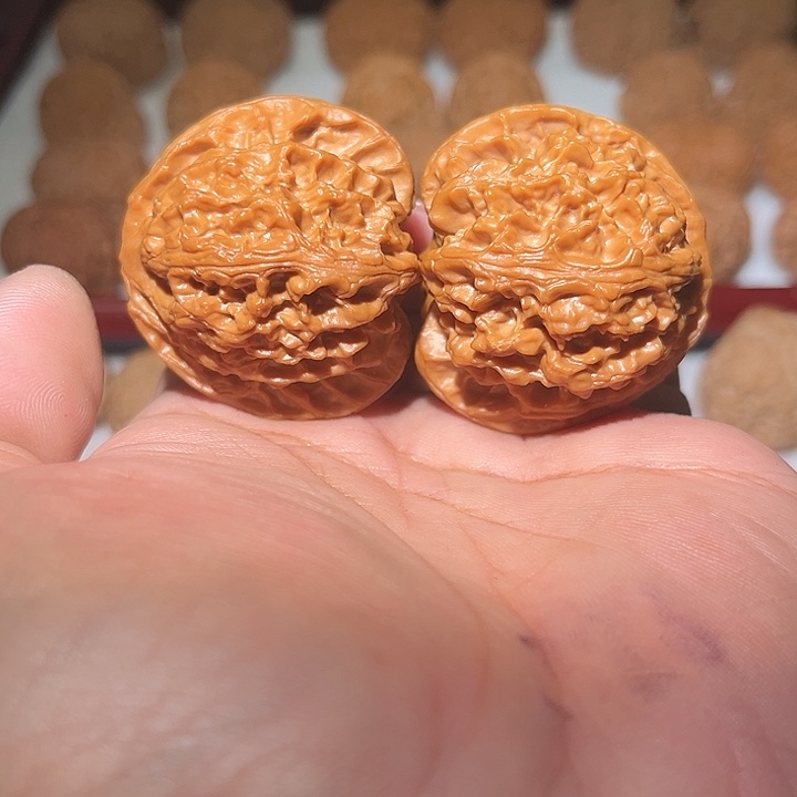 木44全品苹果圆。       