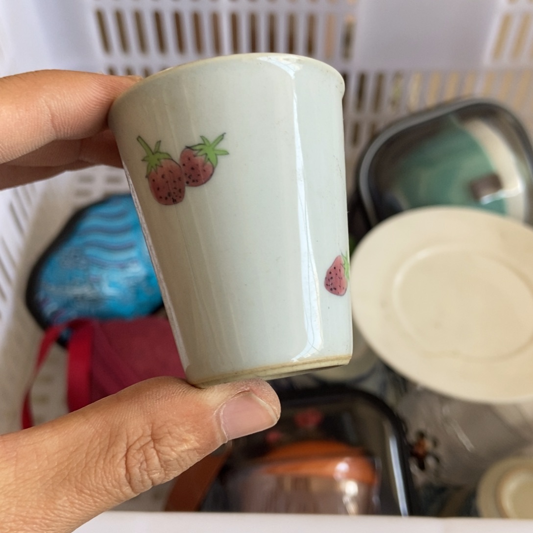 杯直播链接直播链接