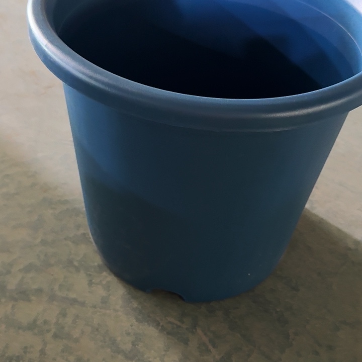 四季9号藏青无托4个特价微瑕