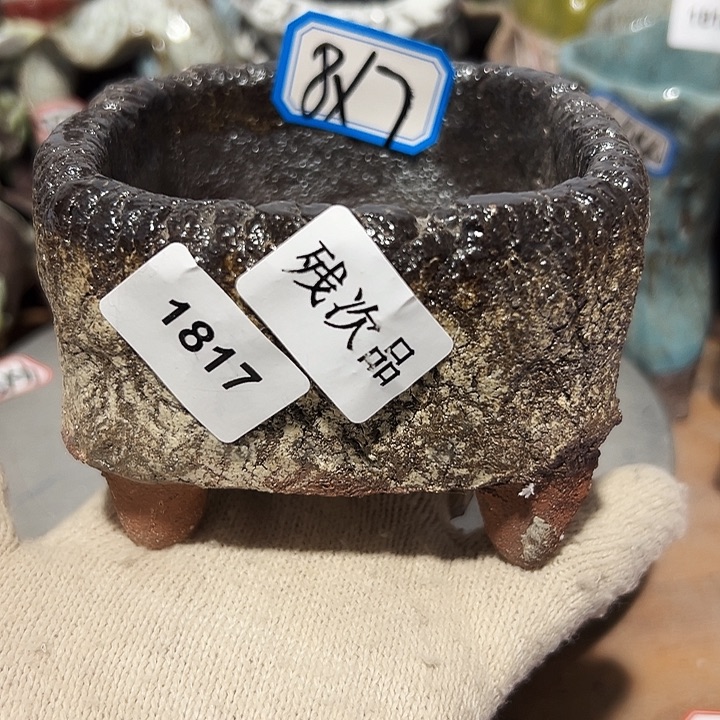 粗陶花盆，现在都不一样了么