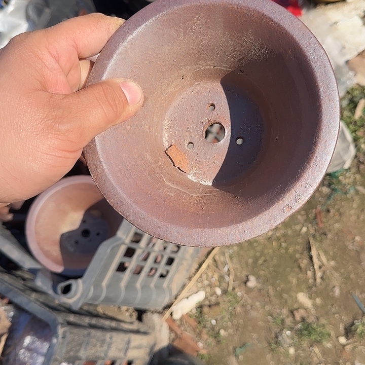 是你给她打个电饭煮好没