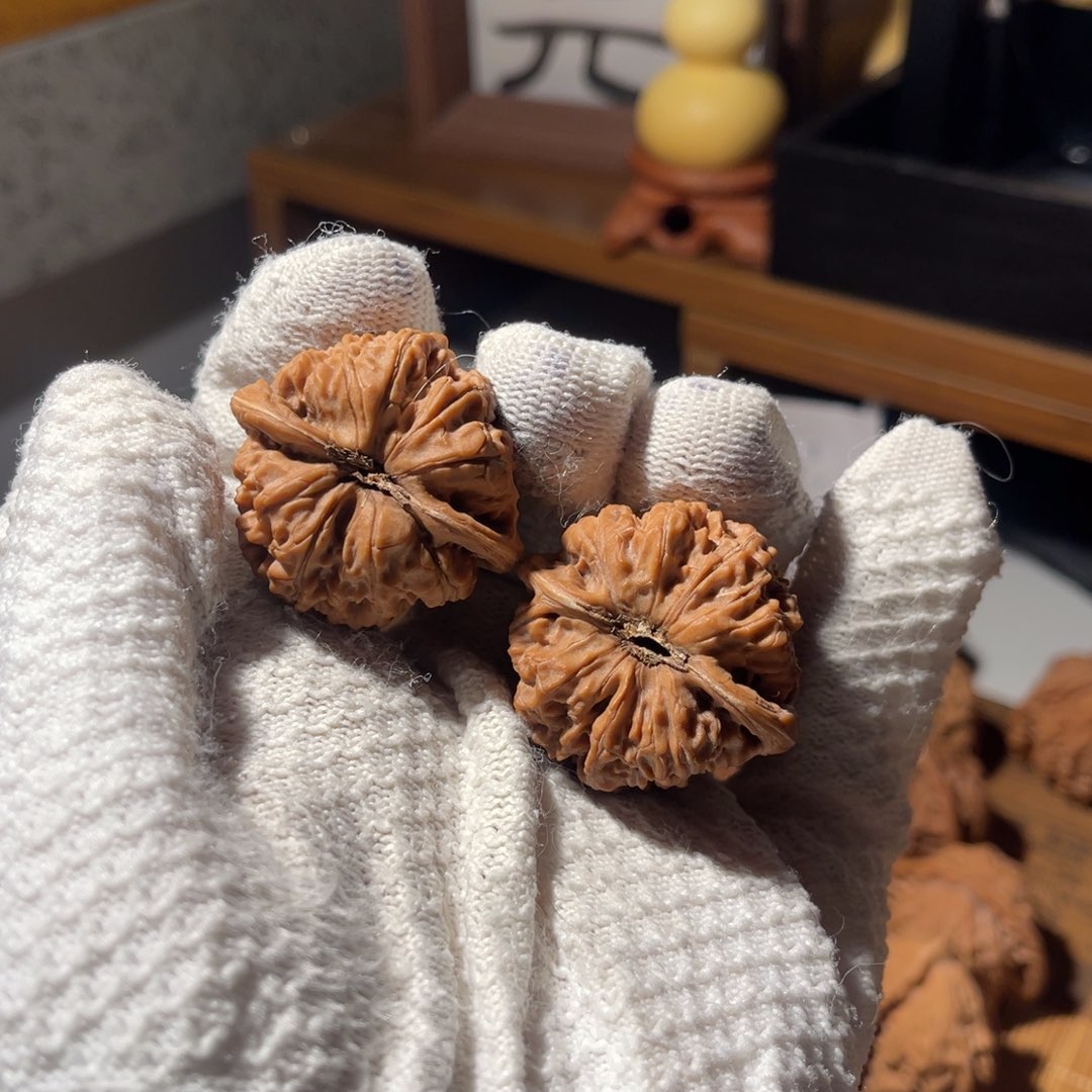 文玩核桃把件37 龙洞屿全品，不退不换