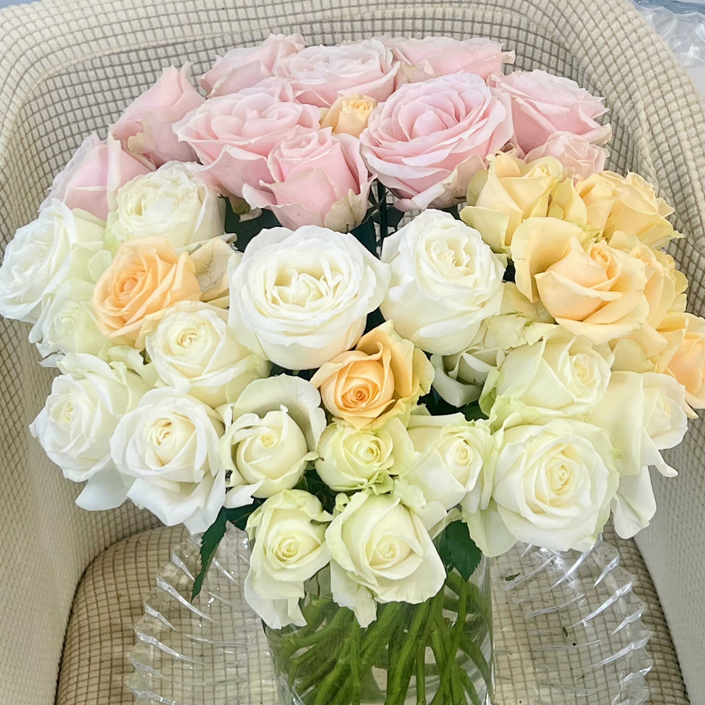 【组合】蜜桃10枝+粉雪10枝+白雪10枝  顺丰1单包邮