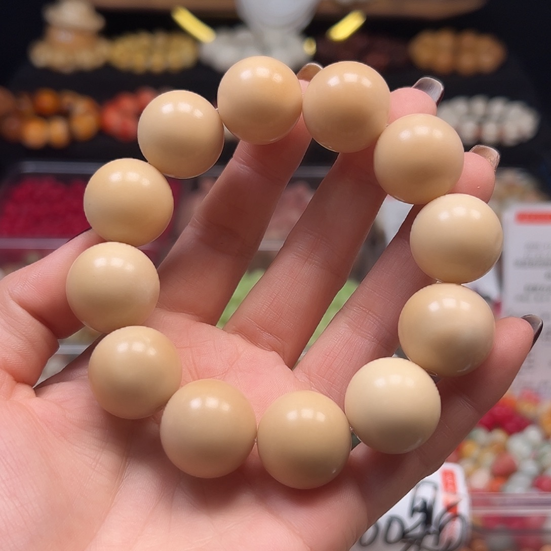 手串菩提根/象牙果通货20加茶色牙果圆1条