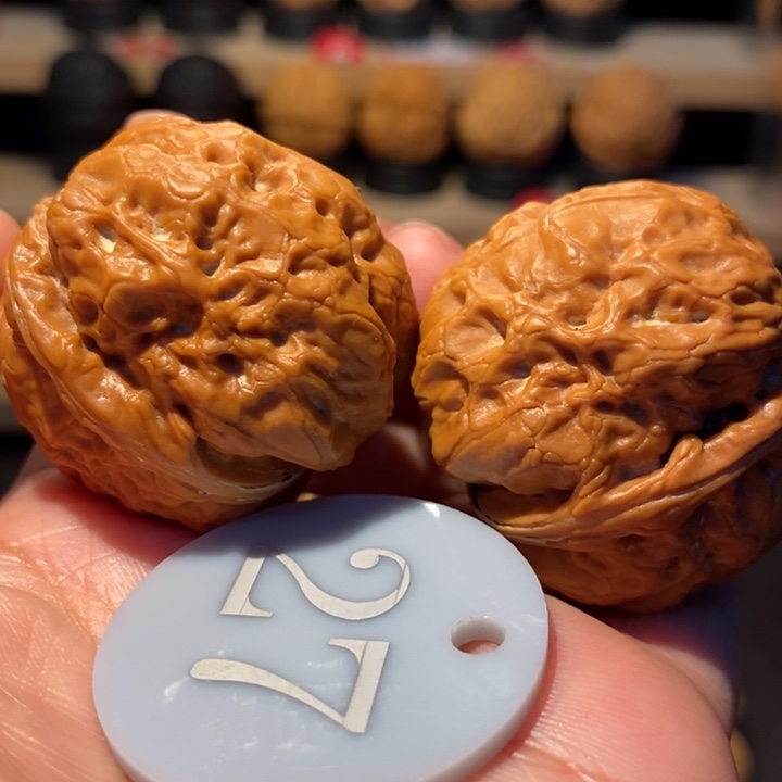 木质类平头金蟾40尺寸