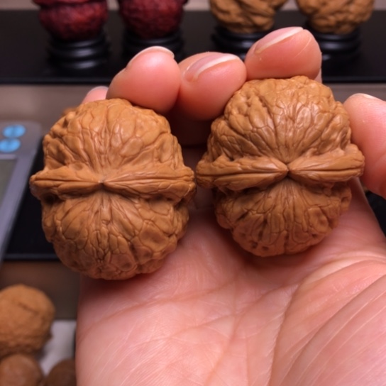 文玩核桃把件金龟玉甲16