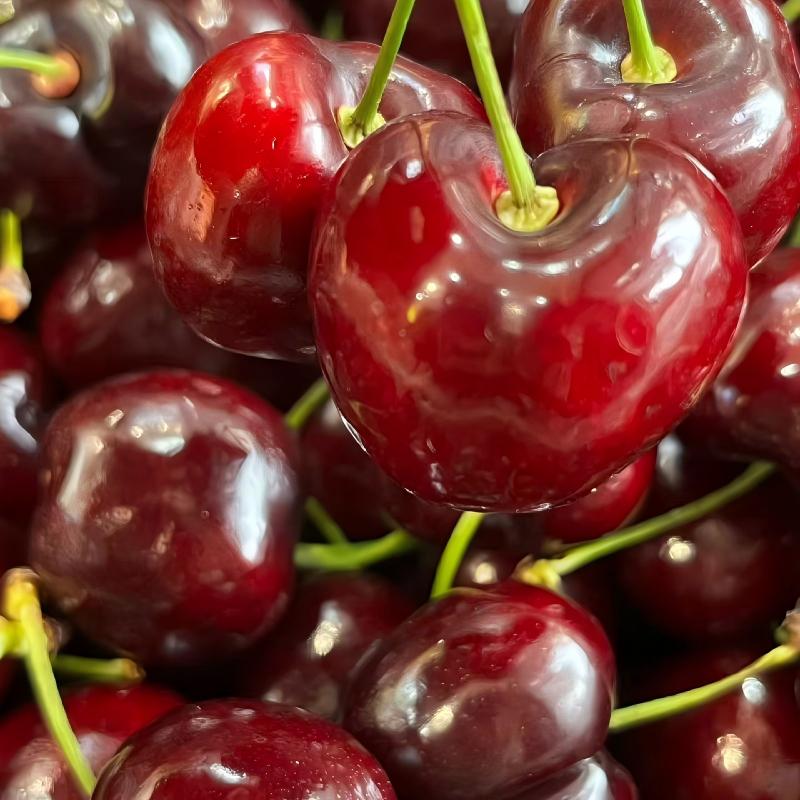 车厘子/海运/3JJJD/500g/内附果径卡智利