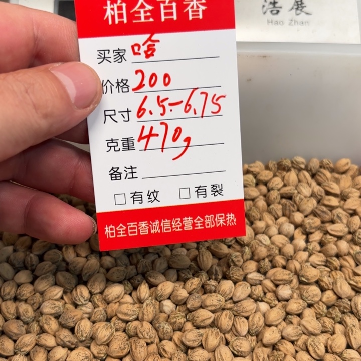 哈*柏香籽散子 470 克散子