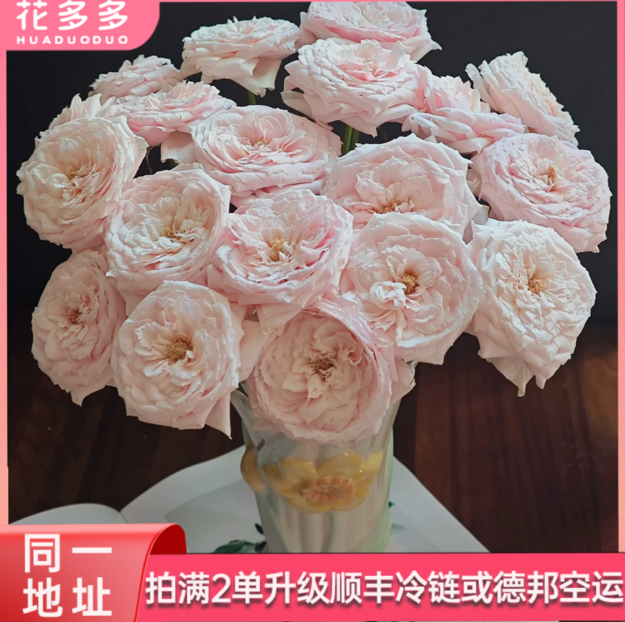 【小粉兔】单头玫瑰10支  全场鲜花任意满两单升级冷链