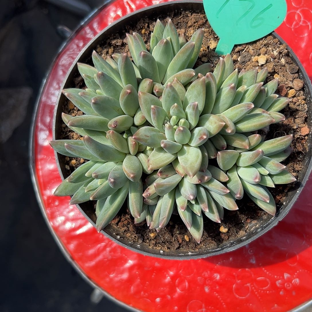 好*情我也是很爱他很温柔