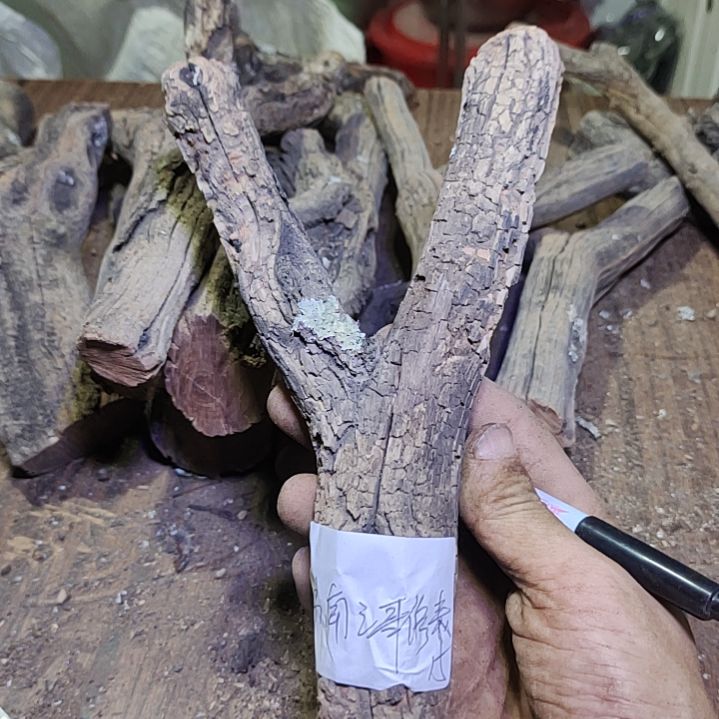 苏***表火琉璃原杈不保沉水慎拍！