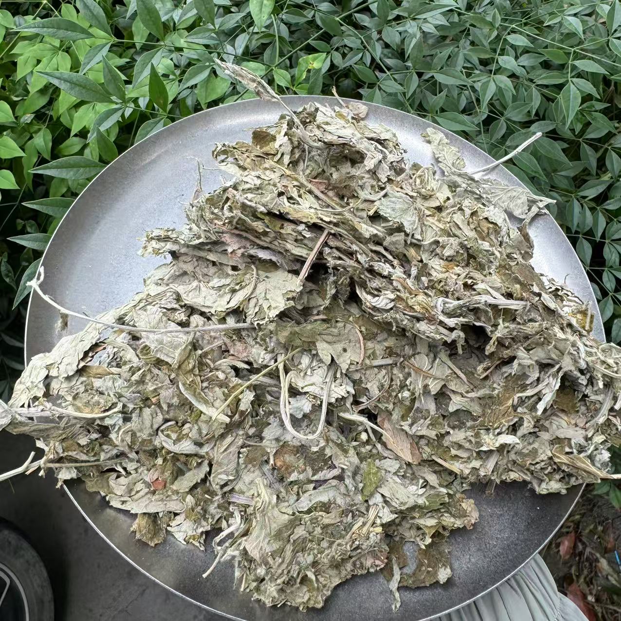 【阿豪精选】 艾叶 艾草