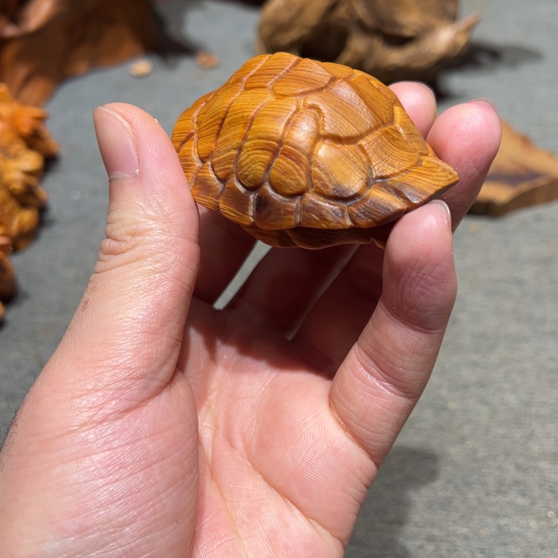 柏木（崖柏）北太行陈化崖柏