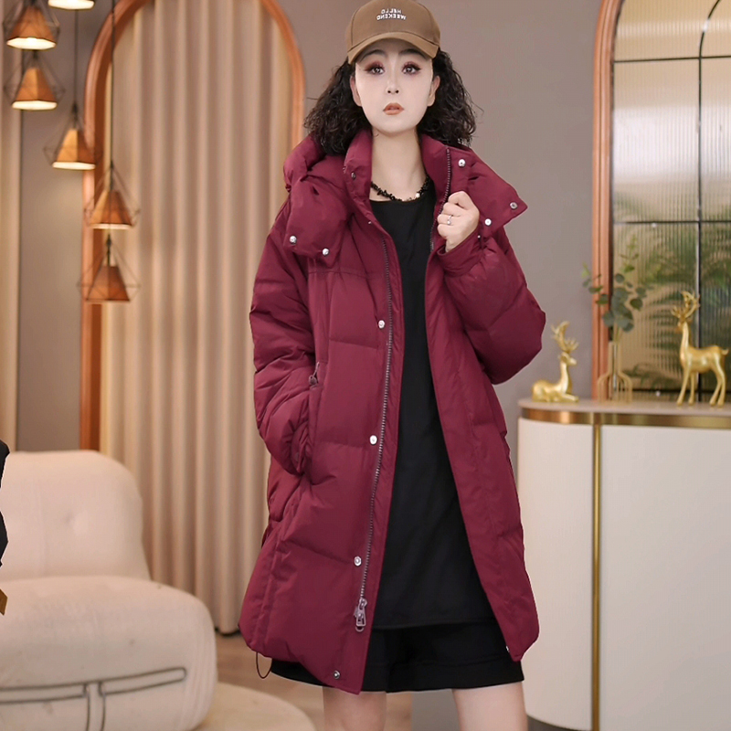8697秋冬新款韩版2025宽松休闲时尚拉链连帽羽绒服女