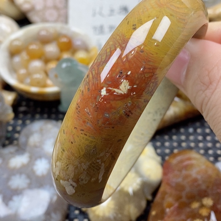 硅化珊瑚（珊瑚玉）颈饰未镶嵌58