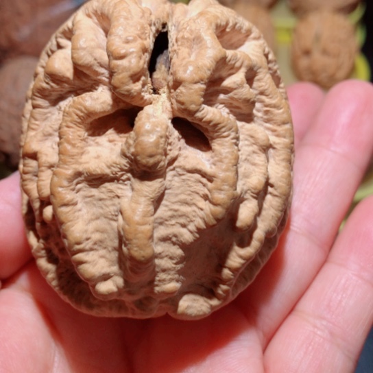 文玩核桃把件单只乾坤核桃