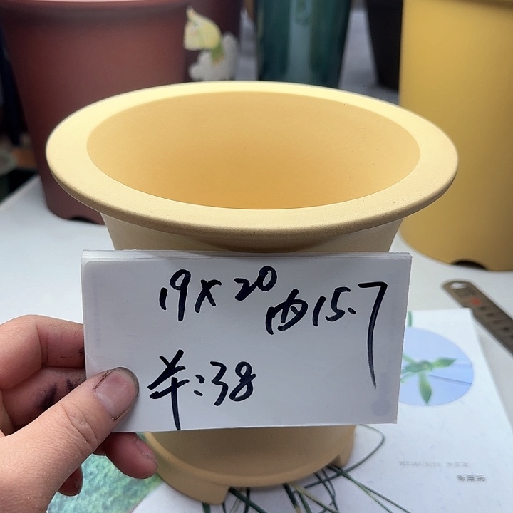 紫砂22222222222222222