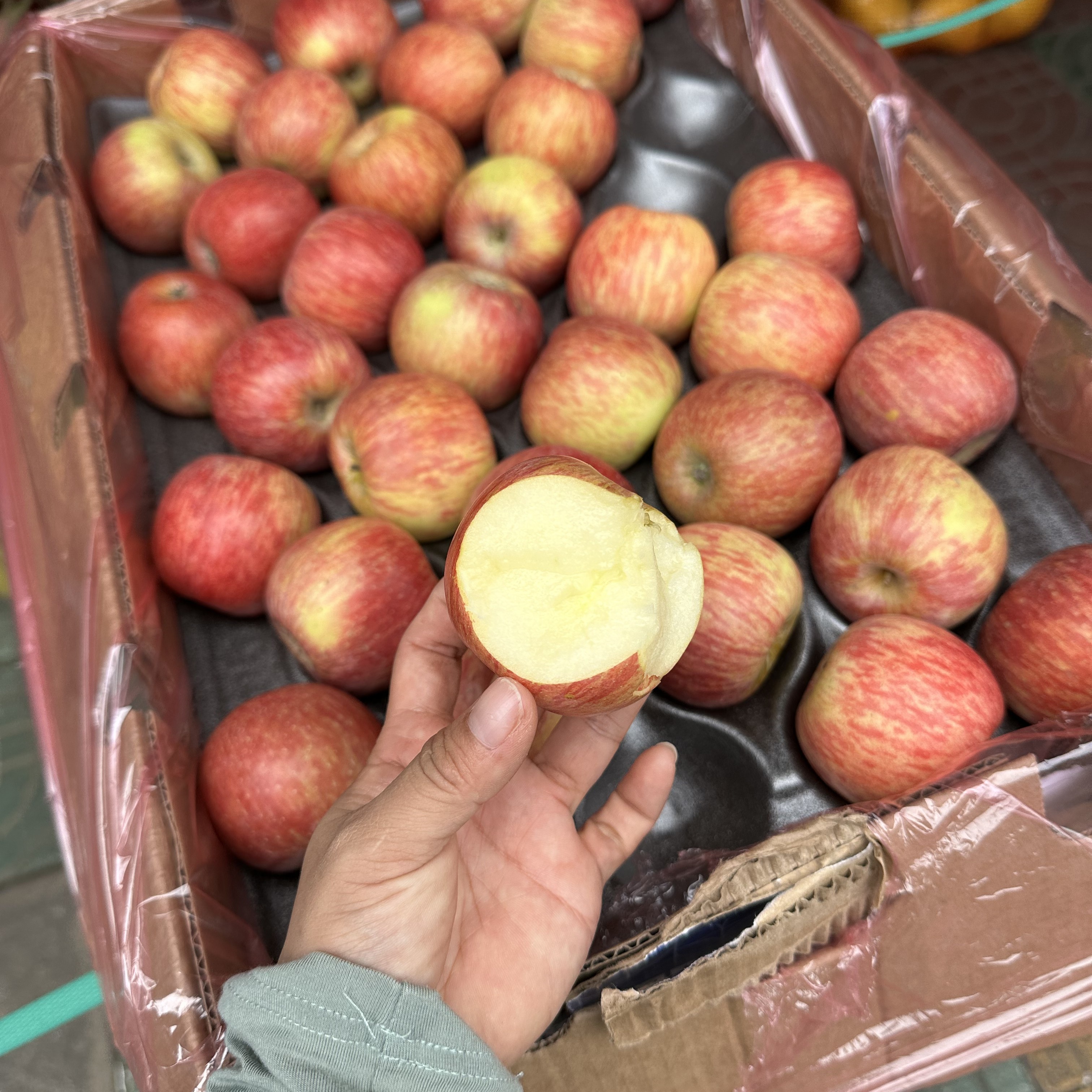 南非苹果18一公斤云南省