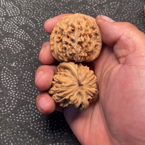 文玩核桃把件西楼5.5