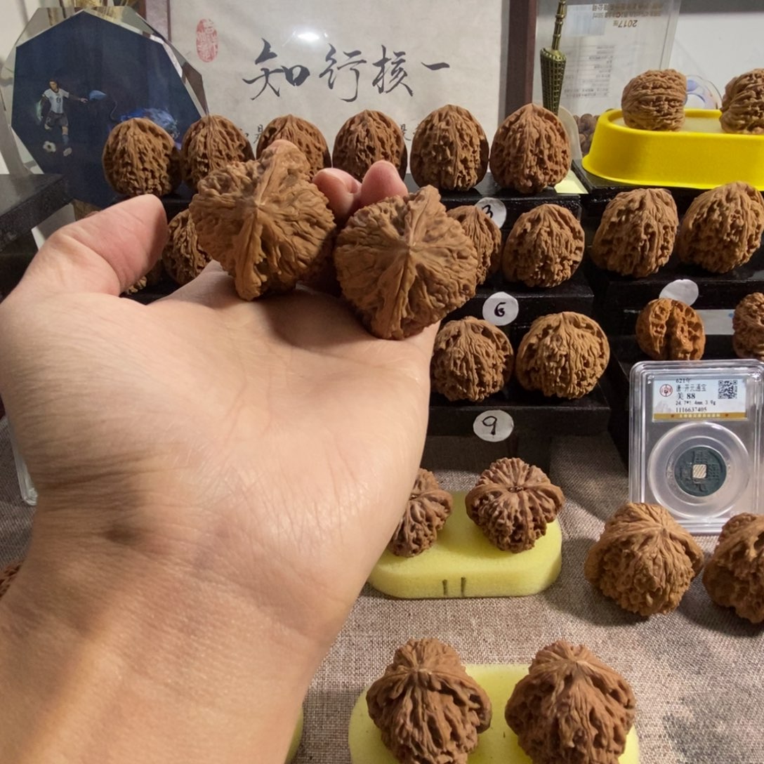 L***n木质类微微残三角南疆