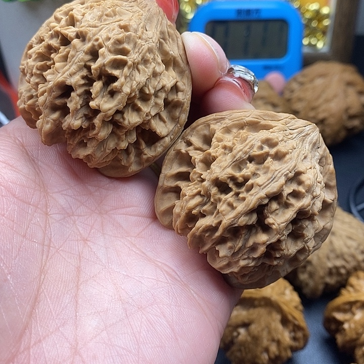 陈***强吊坠龙脊菩提满天星47