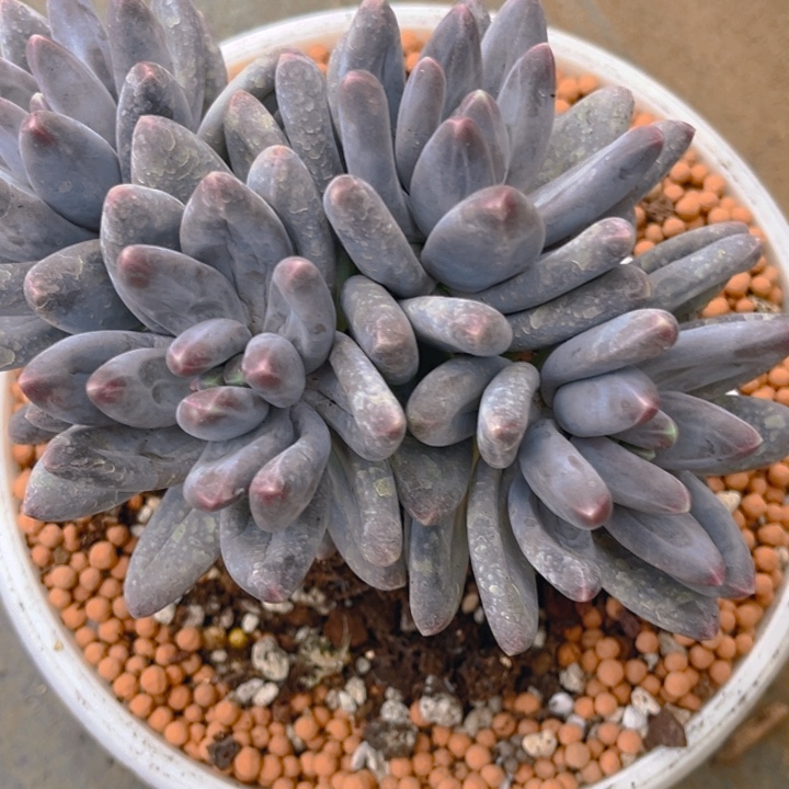 鱼****1111111111111111111111111111