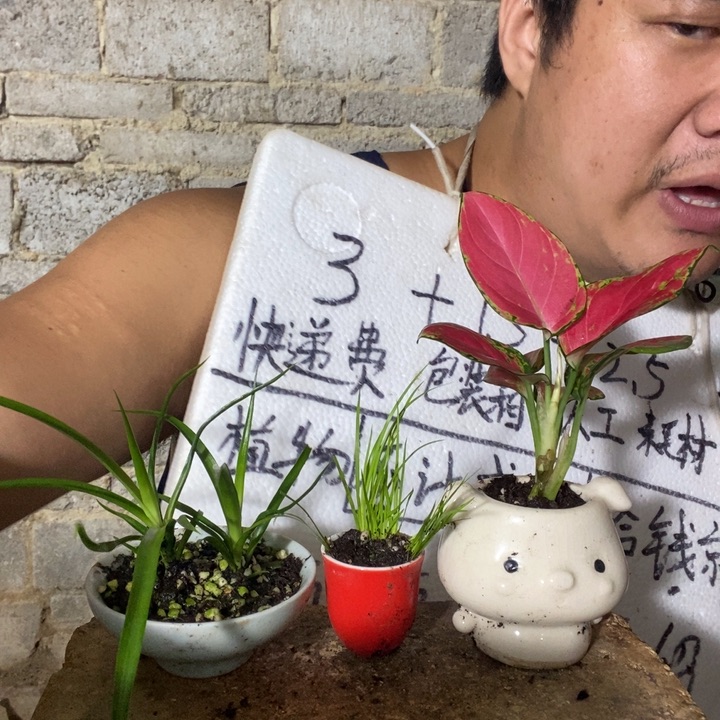 退款拉黑一物一拍358