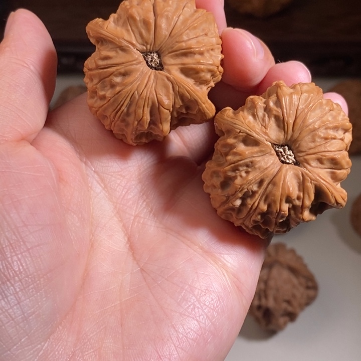 文玩核桃吊坠血麒麟