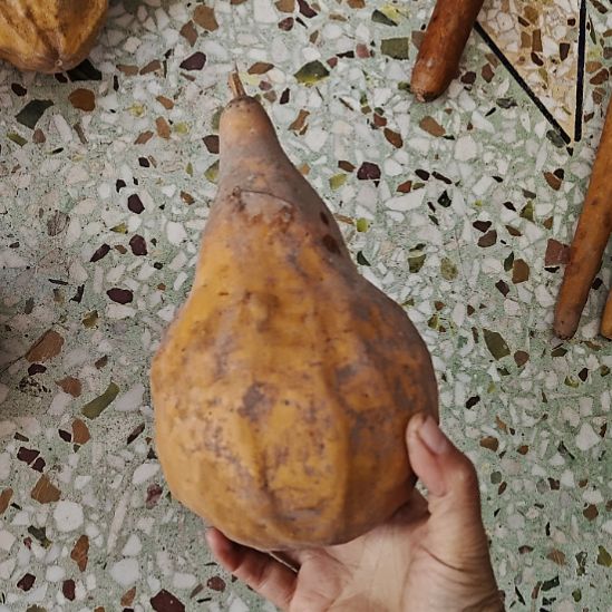 生***t木鹤首葫芦！！！！！！！！！！！！