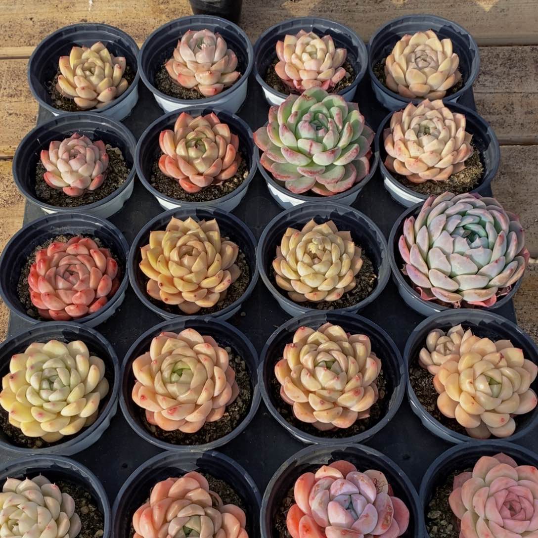 435点多就到家啦。