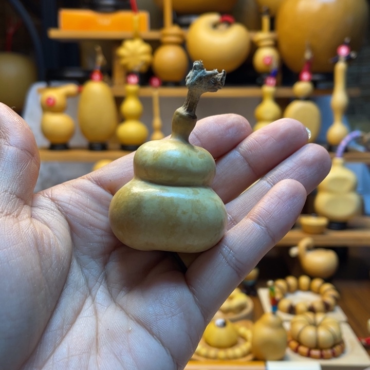 小***君天然葫芦自然神生长