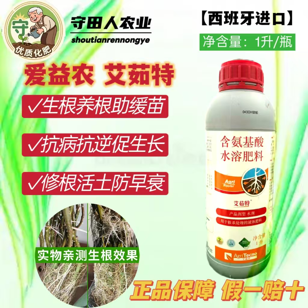 艾茹特氨基酸小分子肽快速吸收助力次生毛细根形成，缓苗快抗逆强