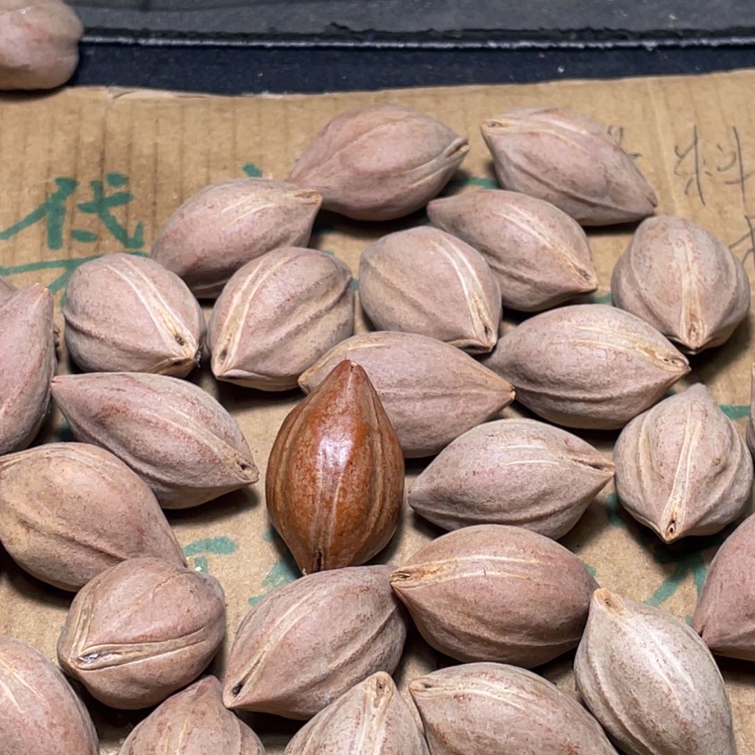 北***辞不退不换了fgefgsgghh