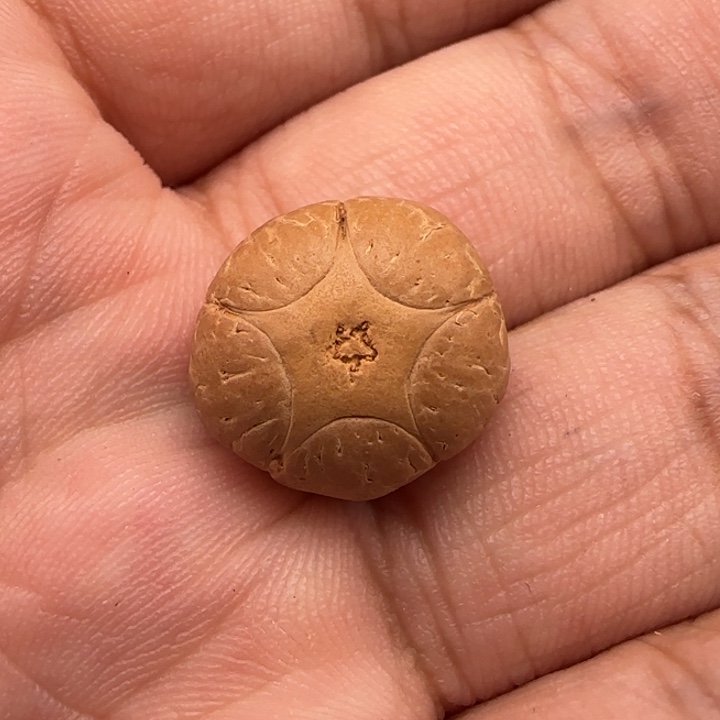 凤眼菩提吊坠尼泊尔16