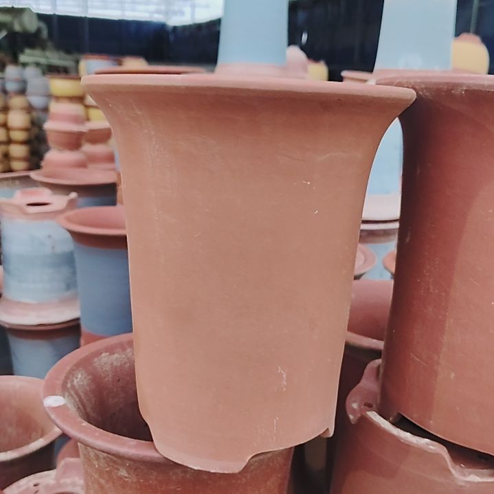 兰花高24口径21素两个