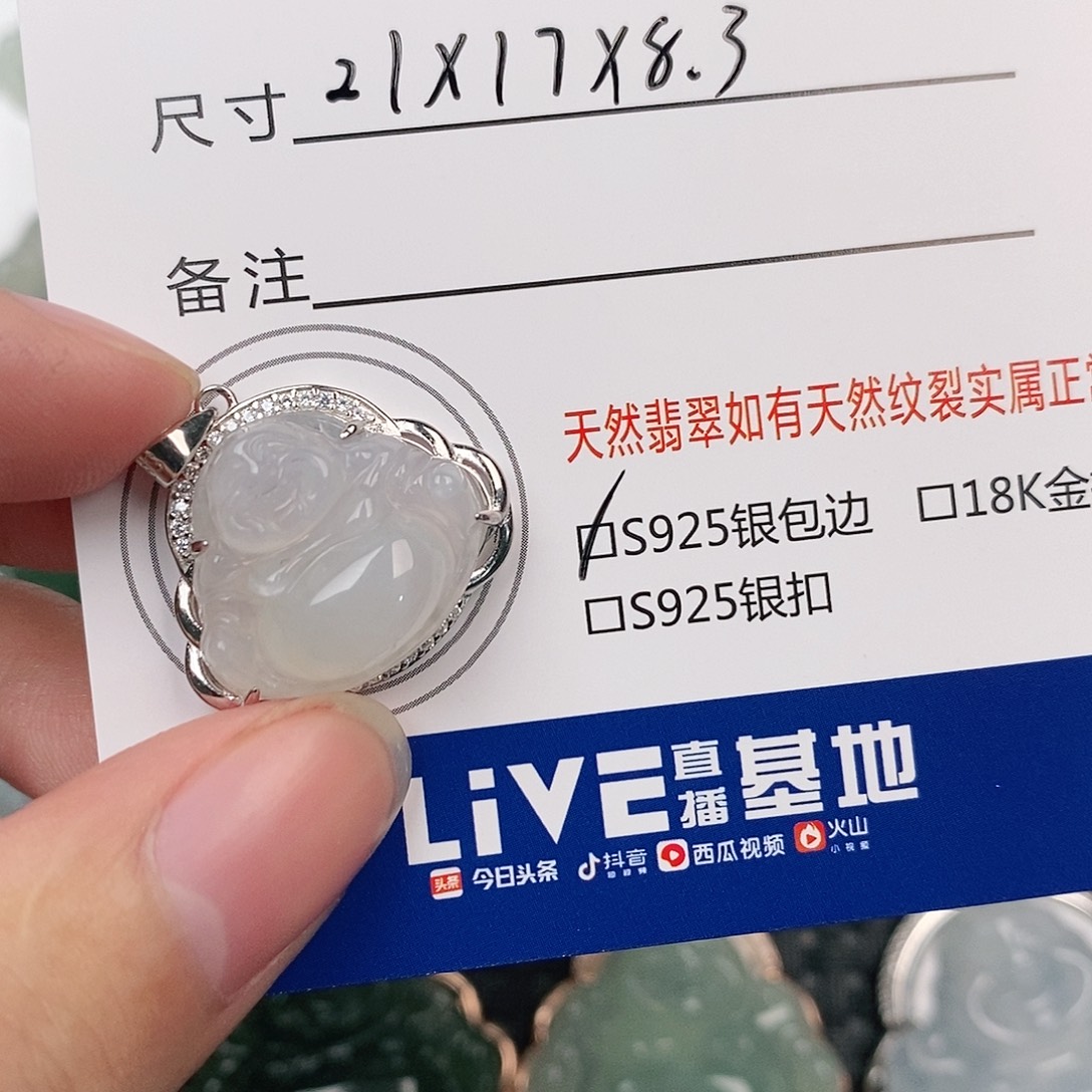 翡翠银S925镶嵌颈饰