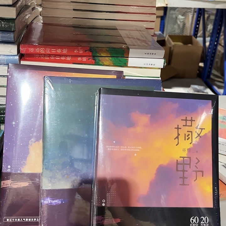 撒野全新三本一套