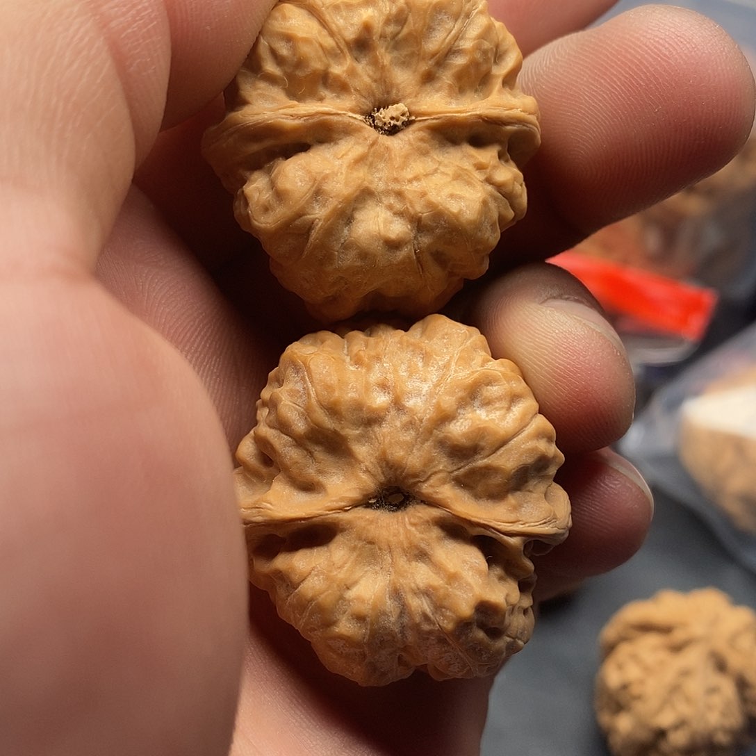 文玩核桃把件/**i蛤蟆35