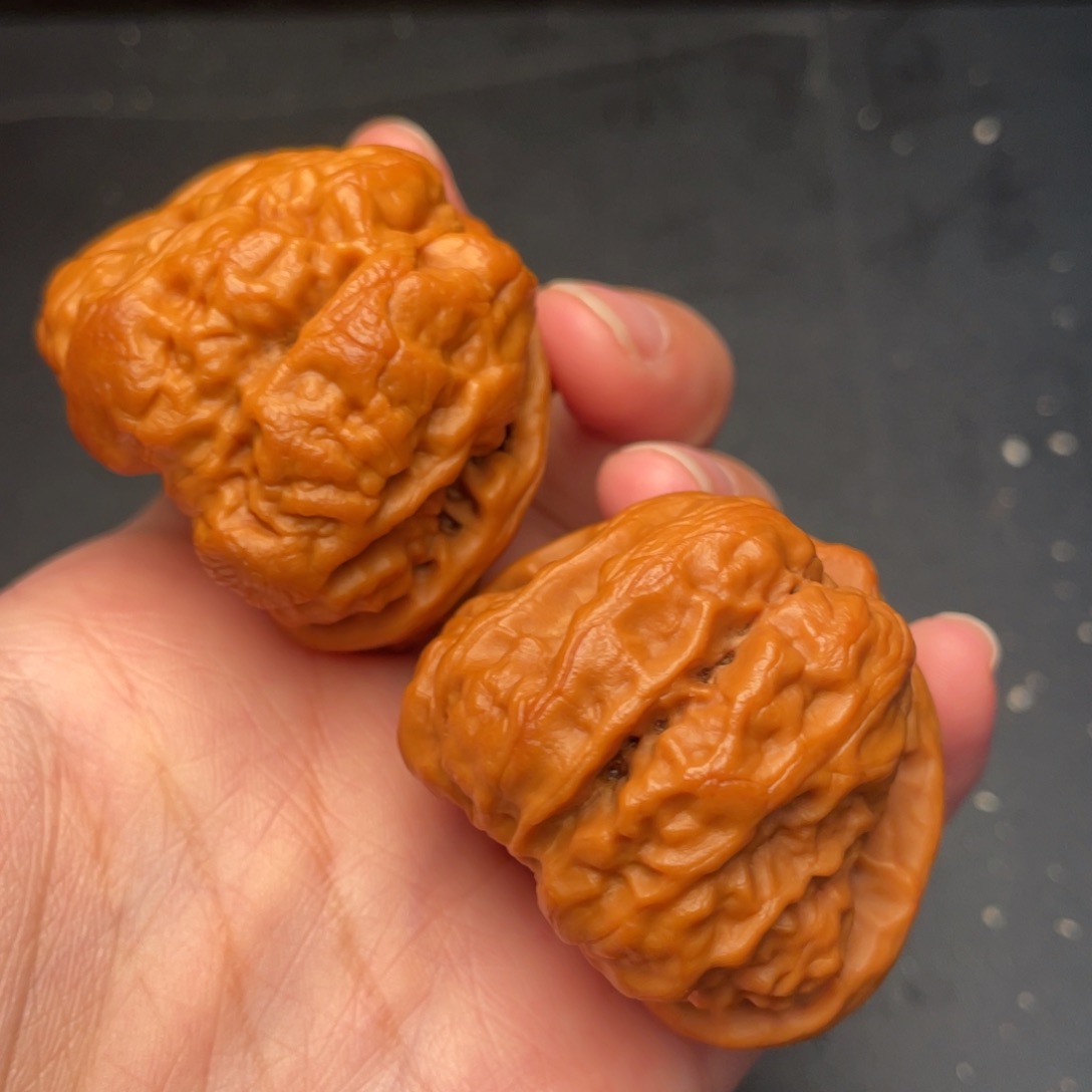 秦岭野生文玩核桃
