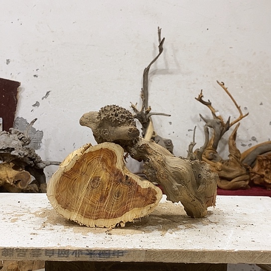 鸿***飞柏木我们都是好孩子