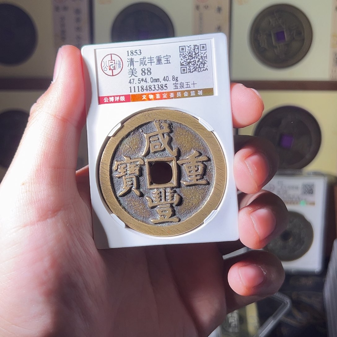 金詹雨雨雨雨雨雨雨雨雨雨雨雨雨