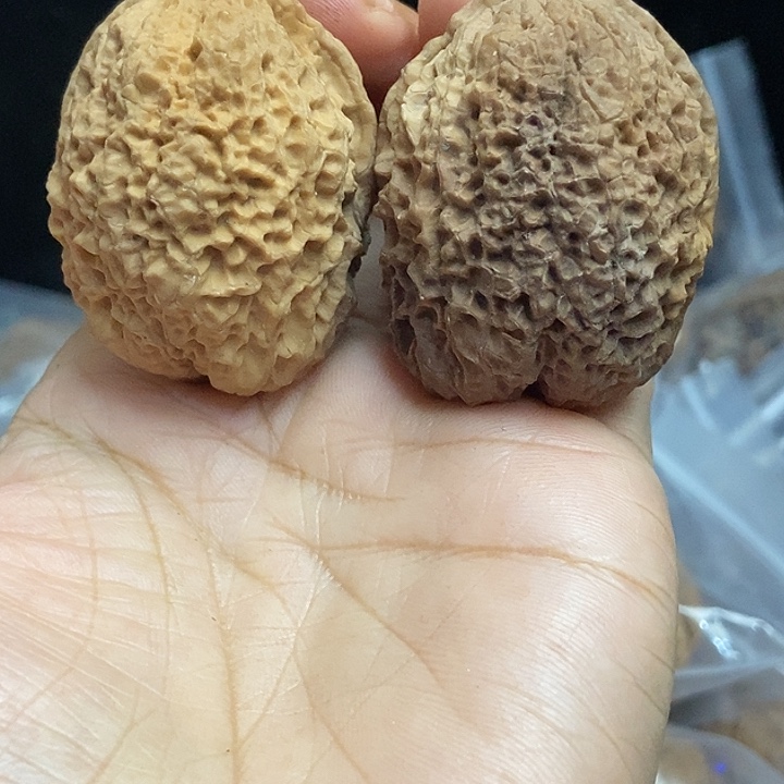 文玩核桃把件云南铁核桃基地31