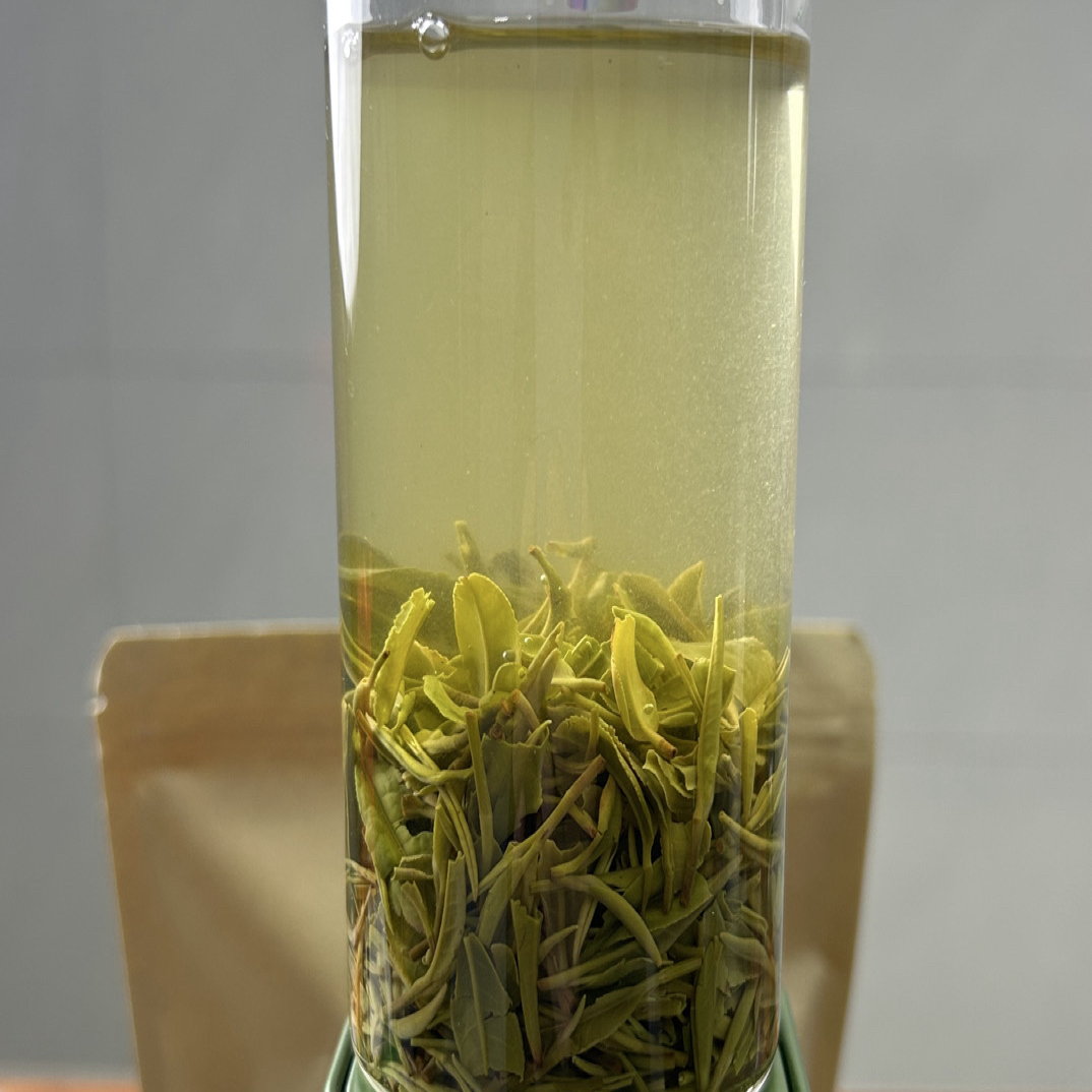 2025雨后信阳毛尖一芽一叶口粮茶（小高福利款）