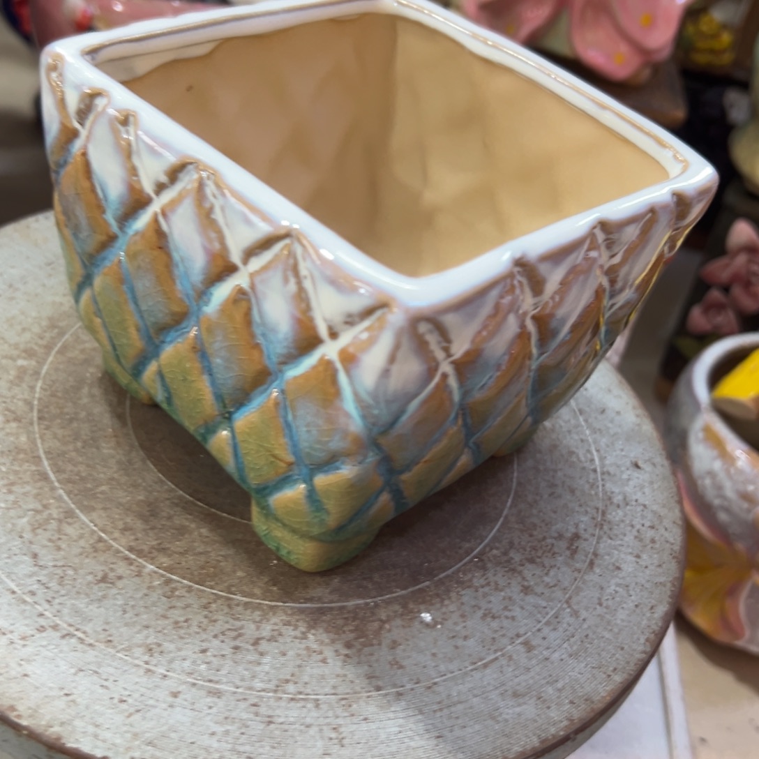 花盆，拍满20发货，退款拉黑