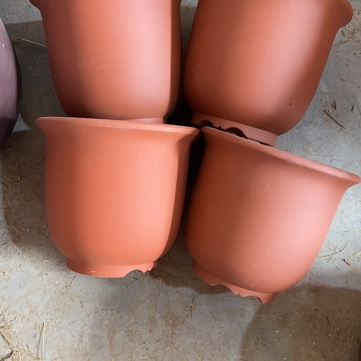 22×19四只定制款京中   