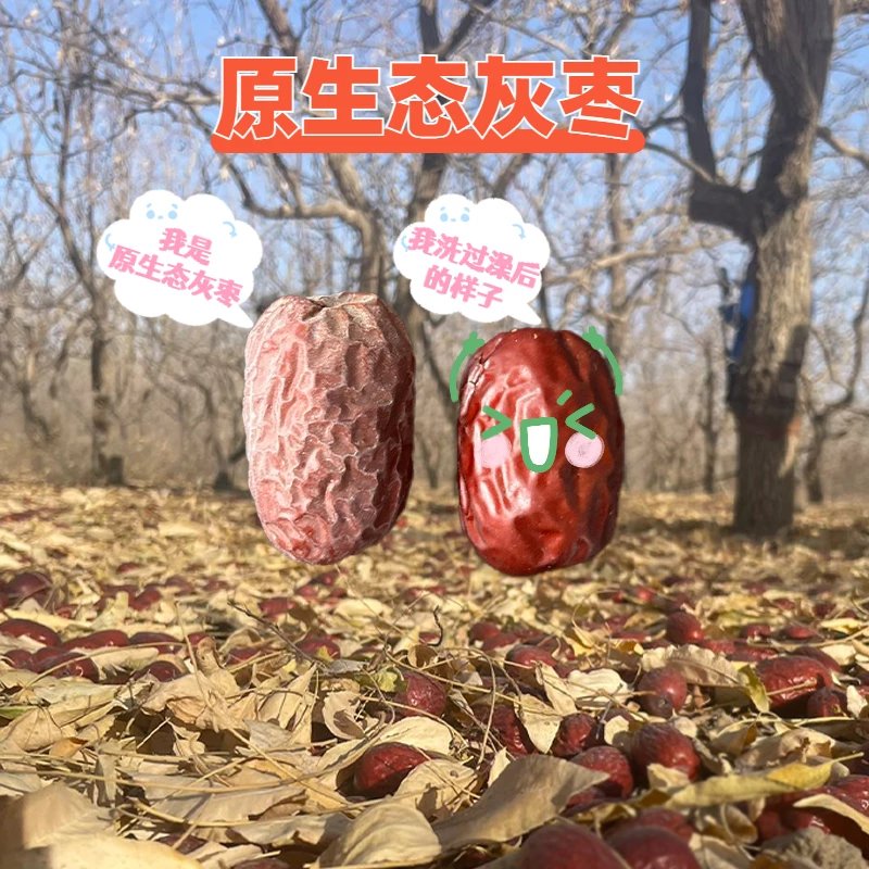 2025年原生态灰枣新疆直发原生态不清洗自然吊干